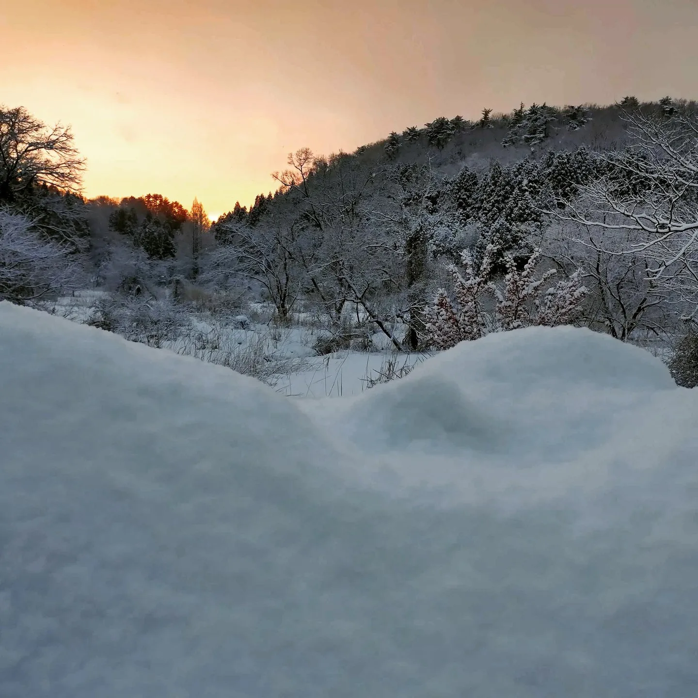 気温が徐々に下がっていき、当店の工房の周りは雪が一面を覆って...